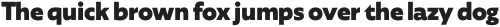 Agile Sans ExtraBold otf (700)