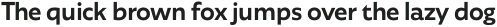 Agile Sans Medium otf (500)