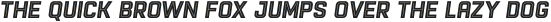 Racon InlineBold S otf (700)