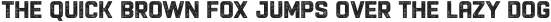 Racon OldCarbonBold otf (700)