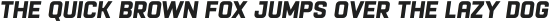 Racon BasicBold S otf (700)