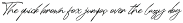 Photoricies - Photographer Script preview
