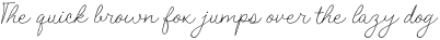 Patrysia otf (400)