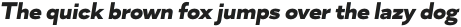 Skie Wide Black Italic otf (900)