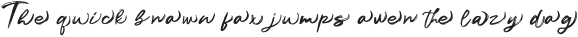 Qibtiyah Swash otf (400)
