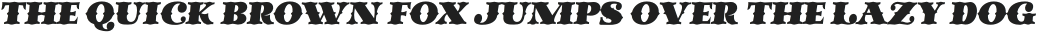Quinter One Italic Italic otf (400)
