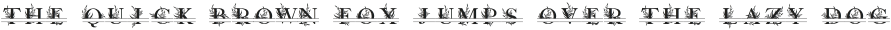 Leafletter Split Monogram otf (400)