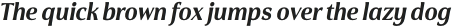 Cabrito Flare Norm Black Italic otf (900)
