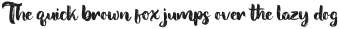 Soondae Font Texture otf (400)