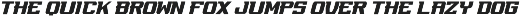 REGUILON Sport Displat Font preview