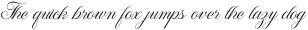 WT Hilton Script Fancy otf (400)
