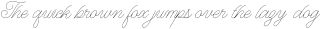 WT Hilton Script Monoline otf (400)