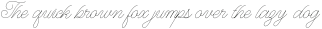 WT Hilton Script ttf (400)
