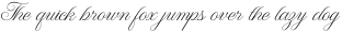 WT Hilton Script otf (400)