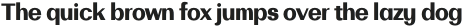 Bodrum Sans 18 Heavy otf (800)