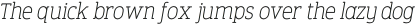 Finalist Round Slab 45 Light Italic otf (300)