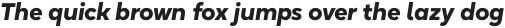 Okta Heavy Italic otf (800)