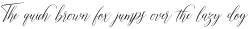 Shirelda Script Slant Regular otf (400)