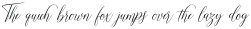 Shirelda Script Regular otf (400)