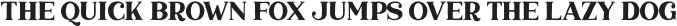 Marquis Serif otf (400)