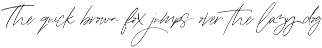 Hallelujah Script | Handwritten Font preview