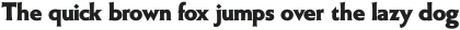 W.ModernGothic Display otf (400)
