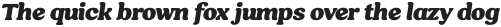 Hornbill Black Italic otf (900)