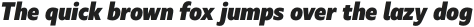 Marble Text Heavy Italic otf (800)