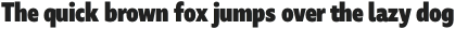 Marble Text Condensed Heavy otf (800)