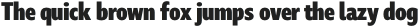 Marble Display Condensed Heavy otf (800)