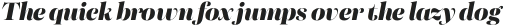 Morison Display Extrabold Italic otf (700)