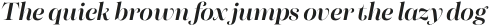 Morison Display Medium Italic otf (500)
