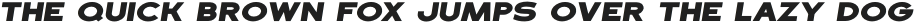 Dublin Heavy Italic otf (800)