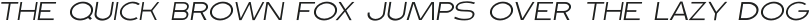 Dublin Thin Italic otf (100)