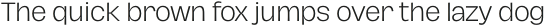Hagrid Text Light otf (300)