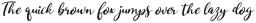 Wild fishing  Italic otf (400)