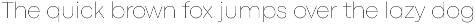 Codec Pro 22 fonts + 1 variable font preview