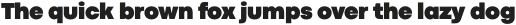 Codec Pro Ultra otf (900)