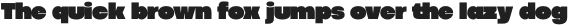 Codec Pro Fat otf (800)