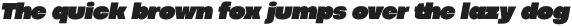 Codec Pro Fat Italic otf (800)