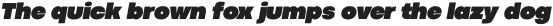 Codec Pro UltraBlack Italic otf (900)