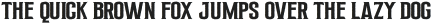 CONFESSION serif ttf (400)