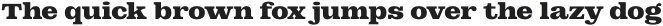 DT Augustina Slab 4 Bold otf (700)