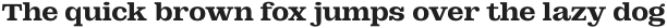 DT Augustina Slab 4 S Bold otf (700)