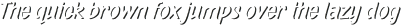 Pinatas Marks Rough Shadow otf (700)