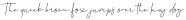 Allison Script otf (400)