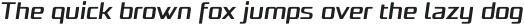 Naftera Bold Italic otf (700)