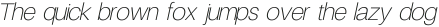 Finis Text Thin Italic ttf (100)