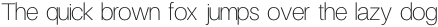 Finis Text Thin otf (100)
