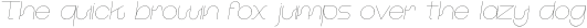 Iconiqu� Sans Thin Italic otf (100)